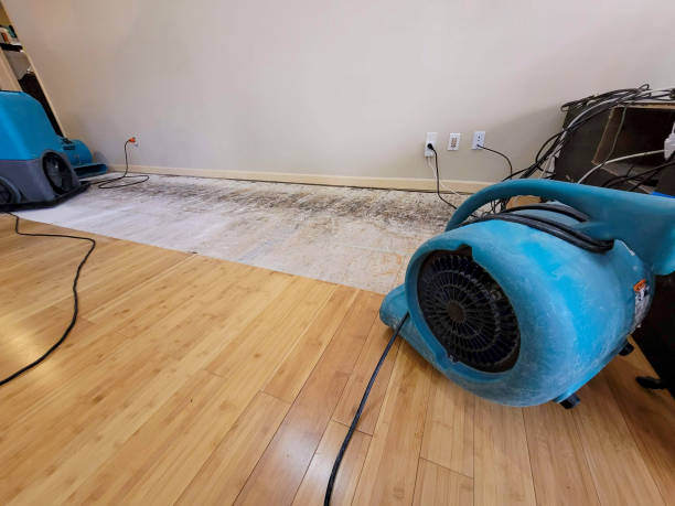 Professional Flood Damage Cleanup technician working in Brandywine, MD